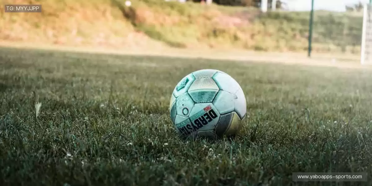 📺 高清直播,实时互动!不错过每一个心跳瞬间!